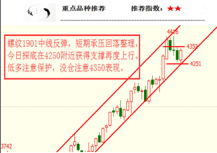 正力控股最新动态解读与行动指南，初学者进阶版