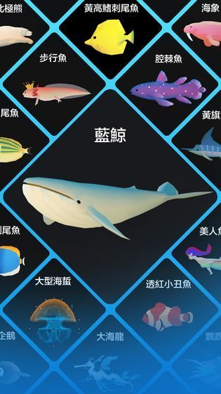 深海水族馆探险，寻找内心平静的奇妙旅程——最新12月6日版本下载启动