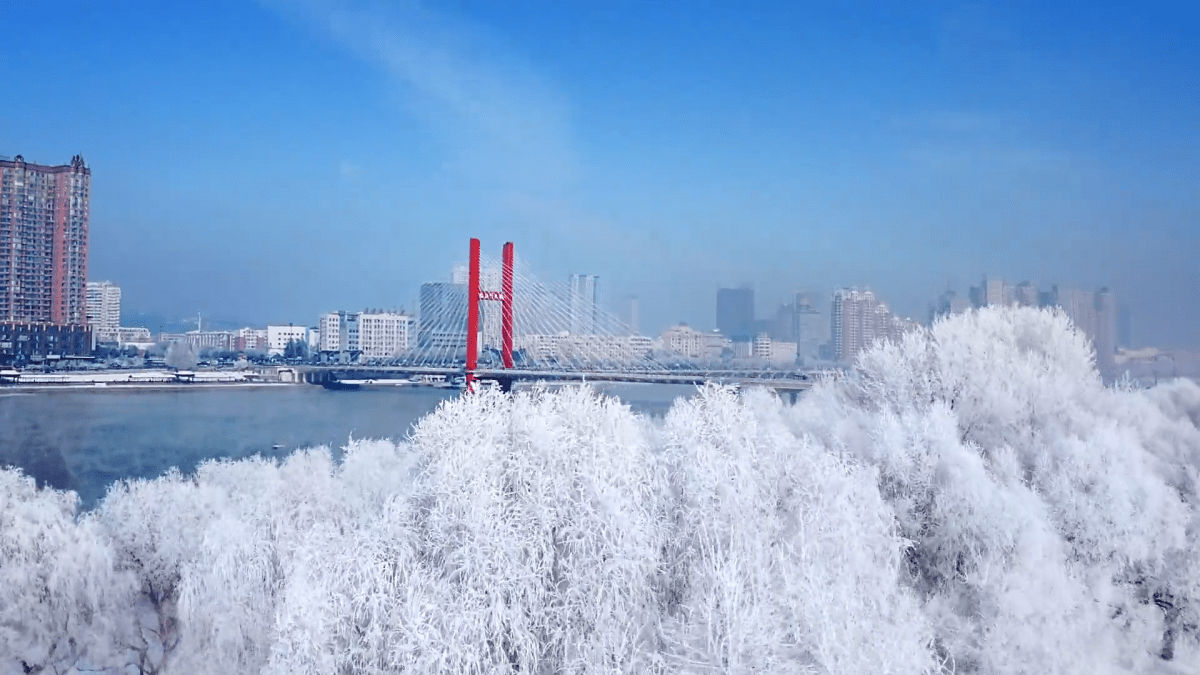 最新湖看雪体验与深度分析（2024年12月最新版评测报告）