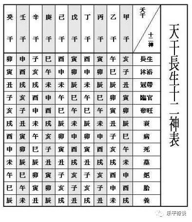 Carplay实时地图导航，探索时空之旅，揭开未来无限可能