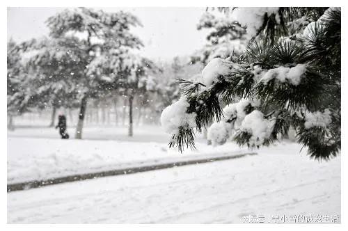 暴雨大暴雪罕见同框，极端天气现象挑战自然界极限