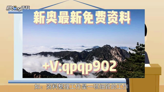 2024新奥正版资料免费，决策资料解释落实_VIP37.34.18