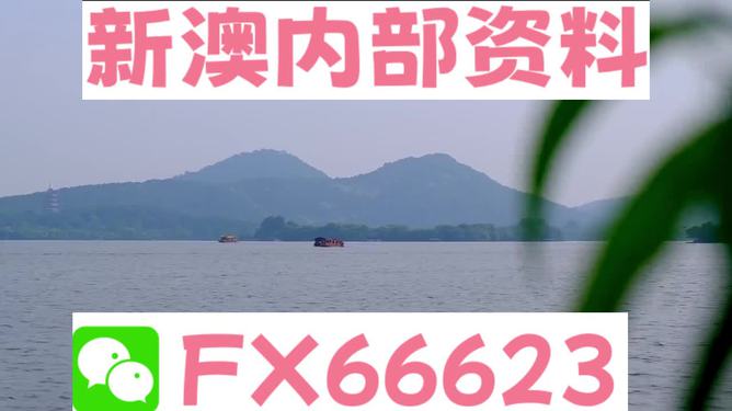 2024新澳资料免费大全，最新核心解答落实_The52.32.33