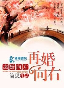 简思最新小说囄婚,专业研究解析说明_开发版16.49.58