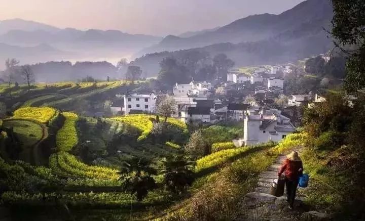 土华村最新消息概览，一瞥村庄风采