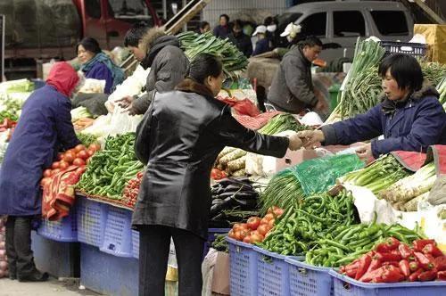 秋季蔬菜市场概览，丰富供应与特色品种齐上阵