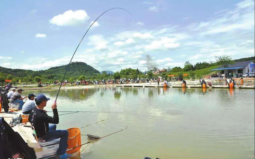 大洪湖钓鱼奇缘，27日的温情时光揭秘最新消息