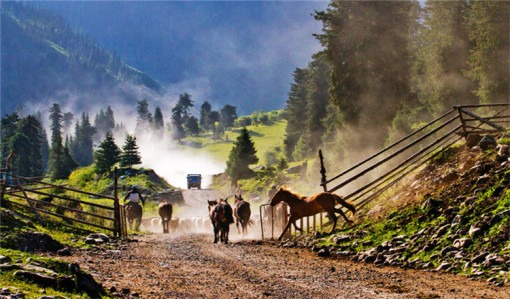 昭苏之旅，阳光与友情的交响，最新旅游体验报道