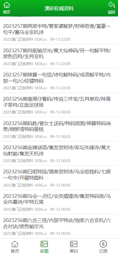 2024澳门正版资料免费大全,专业问题执行_合集款9.046