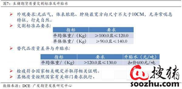 最新积分评测与深度解析，全面揭示积分背后的秘密