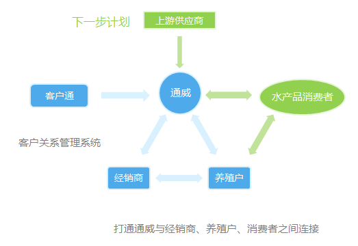 新澳精准资料免费提供网站,全面优化落实方案_标配集5.236