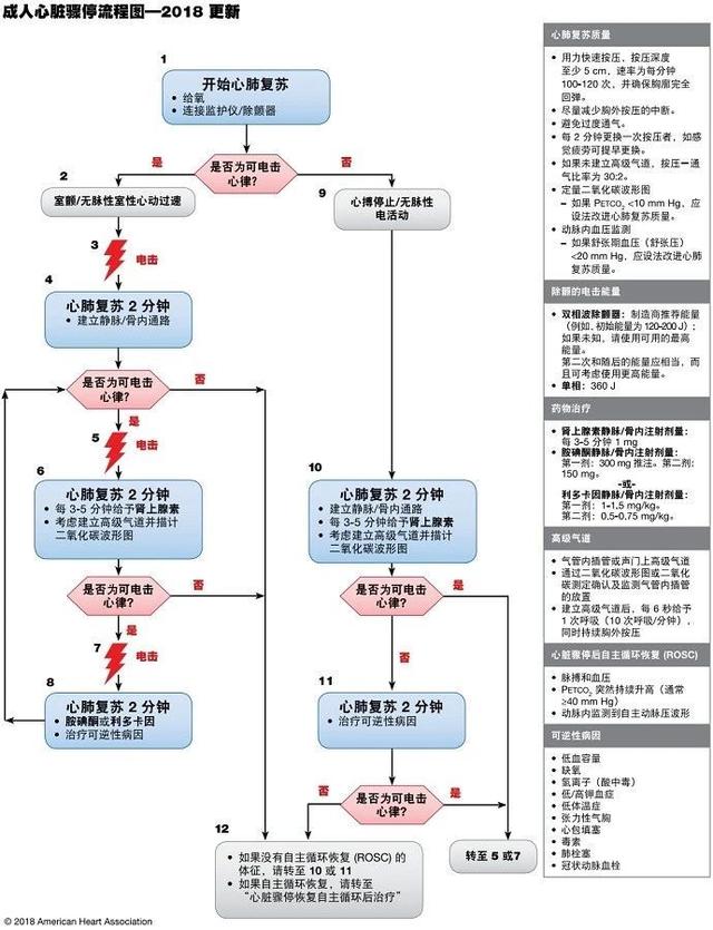 最新心肺复苏指南第三版，变革与要点解析