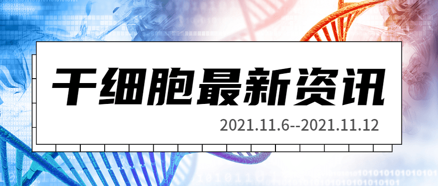 最新干细胞研究全方位指南，从入门到精通，适合初学者与进阶用户