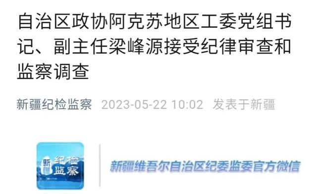 山东淄博副市长宋振波主动投案,效率资料解释定义_苹果版4.67.97