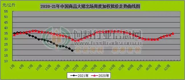 11月3日毛猪价格走势深度解析，市场波动背后的影响因素