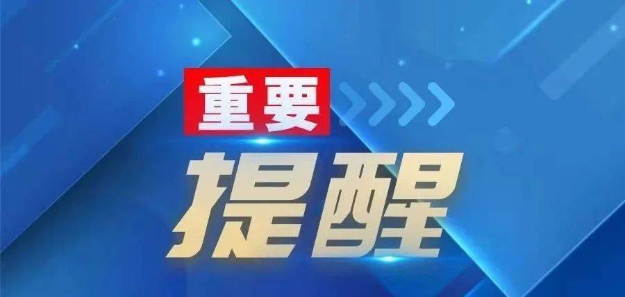 东莞智通司机最新招聘启事，缘分与友情的启程，11月4日新篇章开启