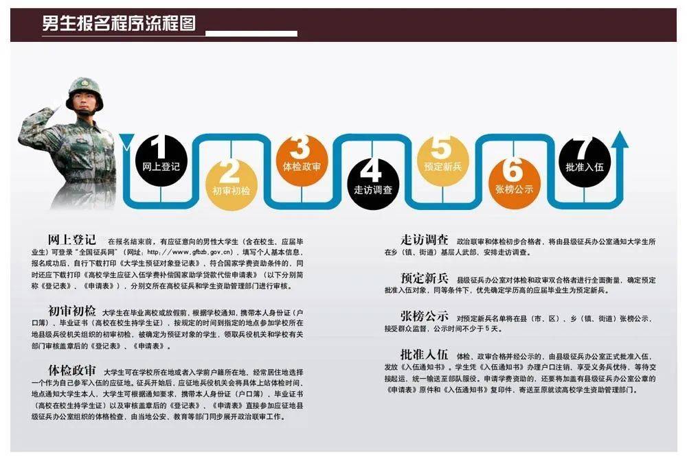 11月4日最新网子制作指南，从初学者到进阶用户的制作步骤详解