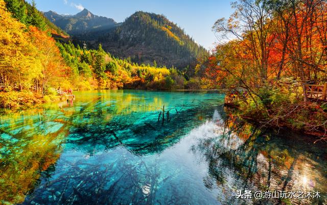 探寻自然秘境的心灵之旅，最新看点快报揭秘自然奥秘的旅程