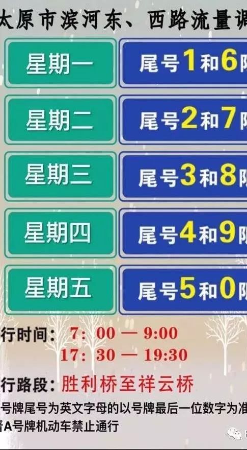 2024年11月5日 第49页