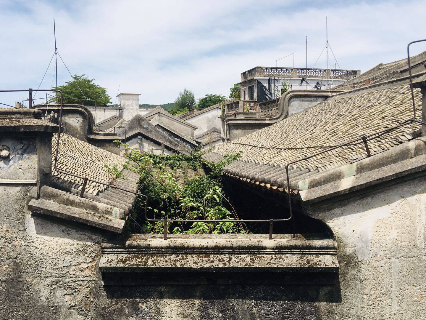 成都猪假之旅，美景邂逅记