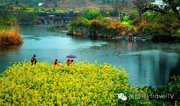 探索最新流水养殖技术，与自然美景共舞，寻找宁静的内心之旅