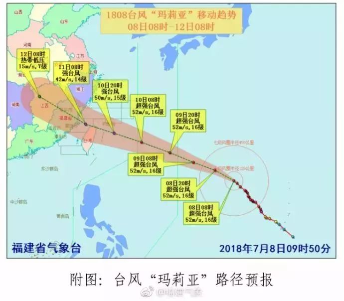 福建遭遇猛烈台风袭击，最新台风深度解析（11月5日）