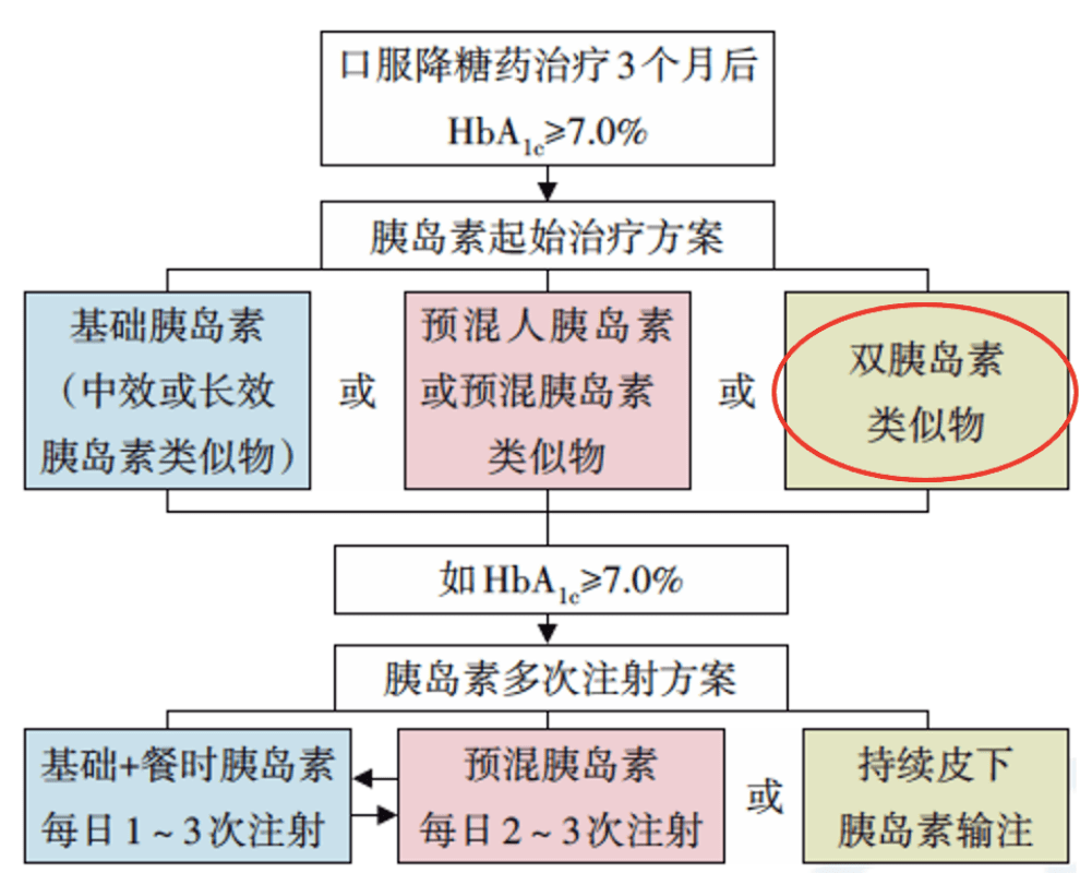 11月5日反贪新闻速递，解读最新动态，参与行动指南