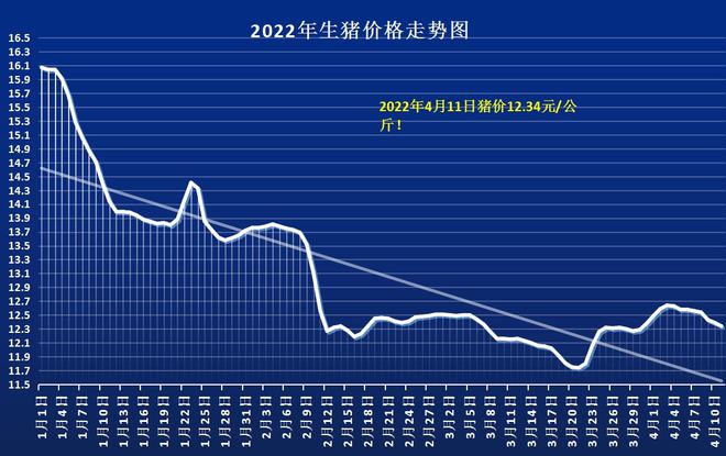 最新科技趋势引领未来畜牧业革新，智能猪价行情分析系统与白条猪价最新行情揭秘