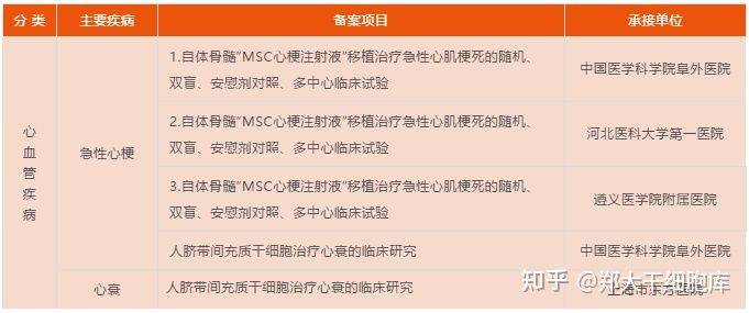 美国干细胞临床突破，点亮自信与成就之光的新力量