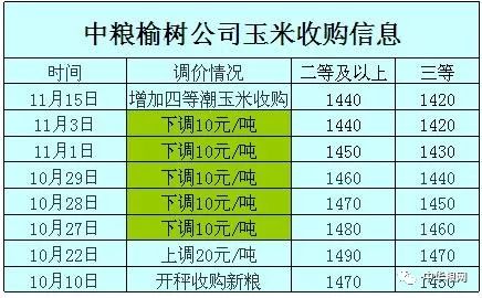 往年11月10日玉米收购价格最新行情深度解析与预测