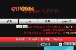 网络涉黄现象深度解析，聚焦去年91porn最新地址与公众观点碰撞