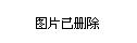 2024年11月11日 第8页