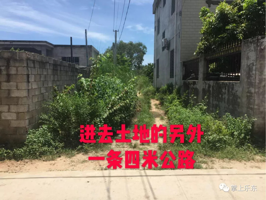 探秘魏县隐藏宝藏，特色小店出租房屋新篇章（最新更新）