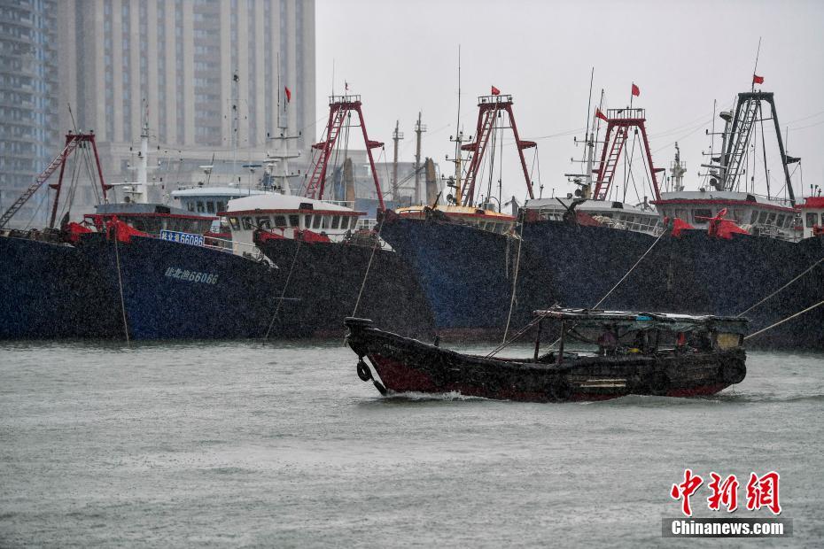 最新台风逆袭故事，逆风翻盘的励志之旅，成就自信与梦想之路