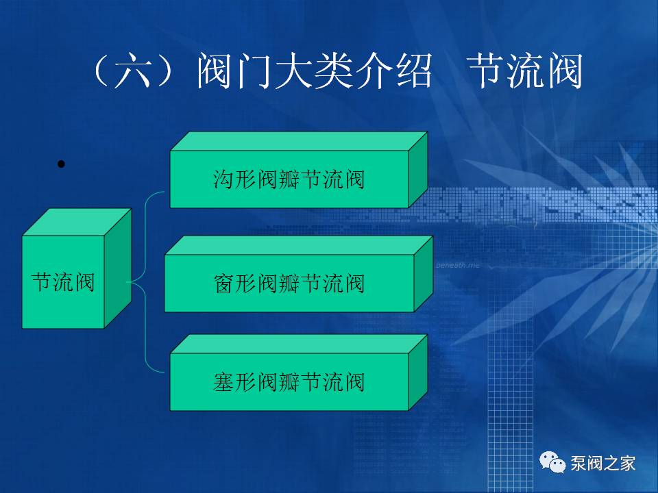 解锁知识之门，最新版道道通，自信成就梦想之旅