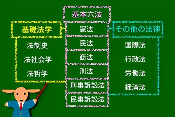 往年11月13日粮食市场动态深度解析，最新消息与市场趋势揭秘