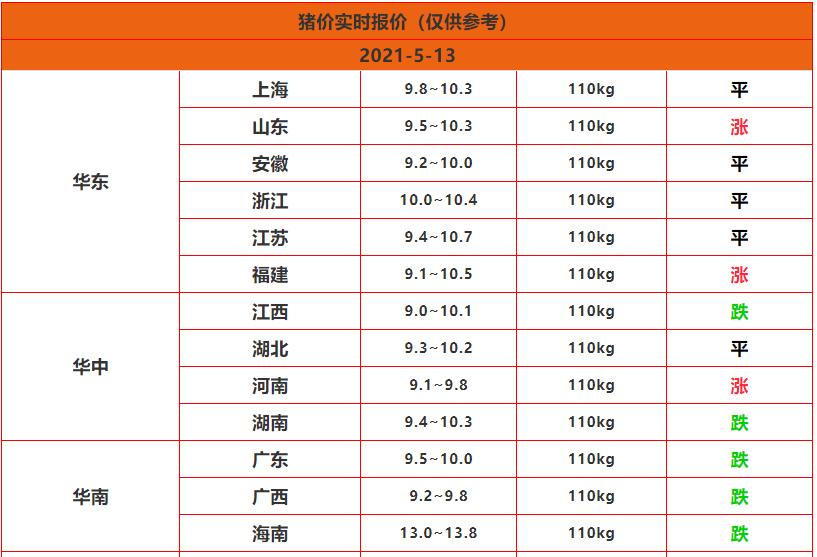 马小乐与柳淑英，奋斗故事与奇迹的诞生——历史上的11月13日见证力量变化之路