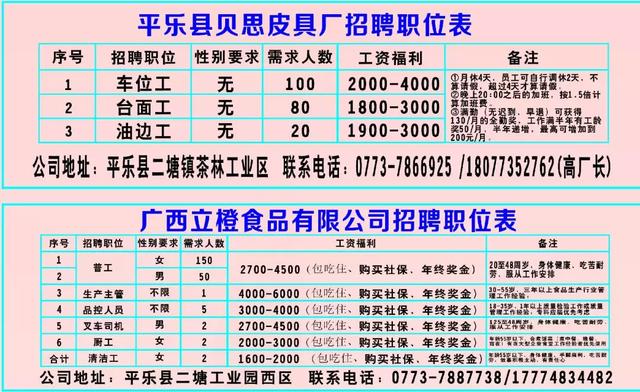 历年十一月十三日民和最新招聘盛况回顾与职业春风展望