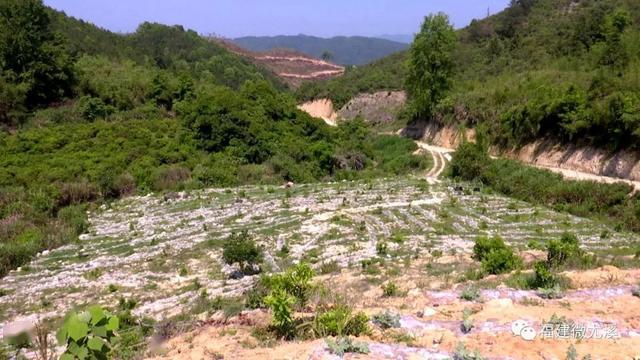 忻城车祸与心灵之旅，自然美景下的奇遇记