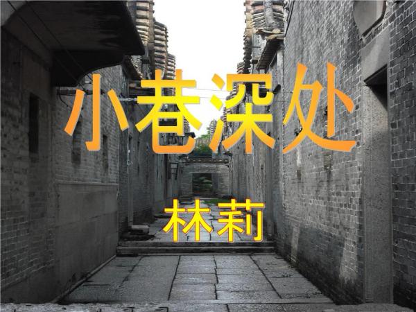 11月急招油边探秘，小巷深处的宝藏，新宠等你来发掘