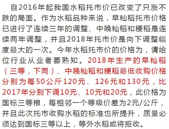 友情与陪伴的温馨故事，十一月十三日的心愿单更新