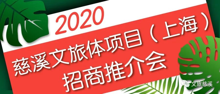 11月慈溪最新发布，科技动态与生活资讯引领潮流