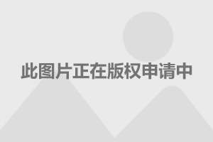 揭秘南京隐秘小巷宝藏小店与最新招聘职场奇遇