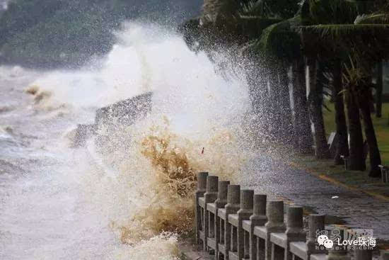 台风洛克动态分析，聚焦2024年11月16日预测与影响