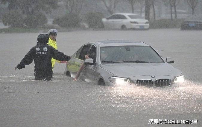 河南撞车事件背后的心灵启示，自然美景之旅引发深思