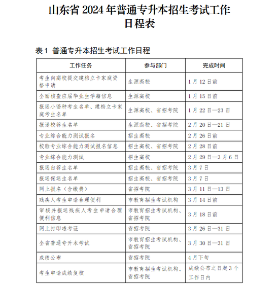 专科专练新篇章，聚焦2024年11月16日