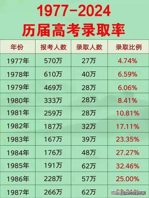 全面评测介绍，2024年最新奶酪塔特性、体验、对比与用户需求洞察