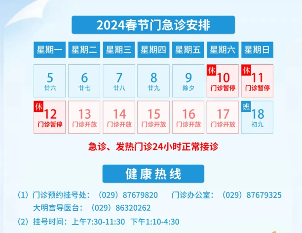 2024年生肖币市场新宠，第一套生肖币最新价格深度评测与介绍