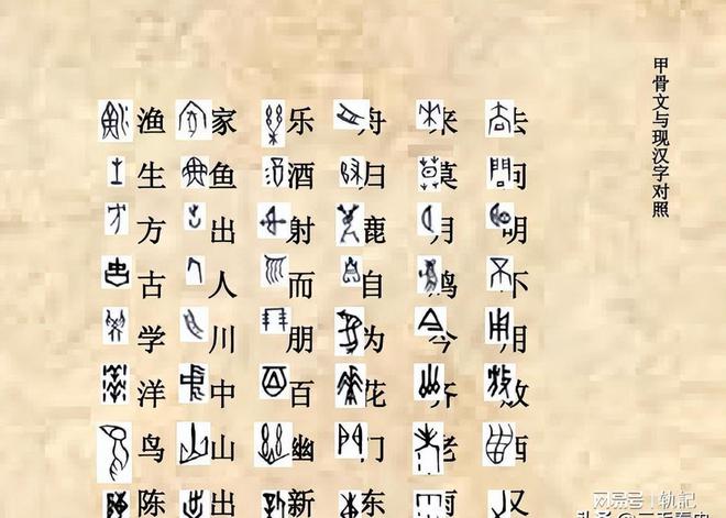 揭秘汉字新篇章，探索十一月最新汉字演变