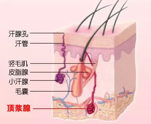 往年11月17日狐臭最新疗法详解与全面评测